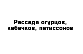 Рассада огурцов, кабачков, патиссонов